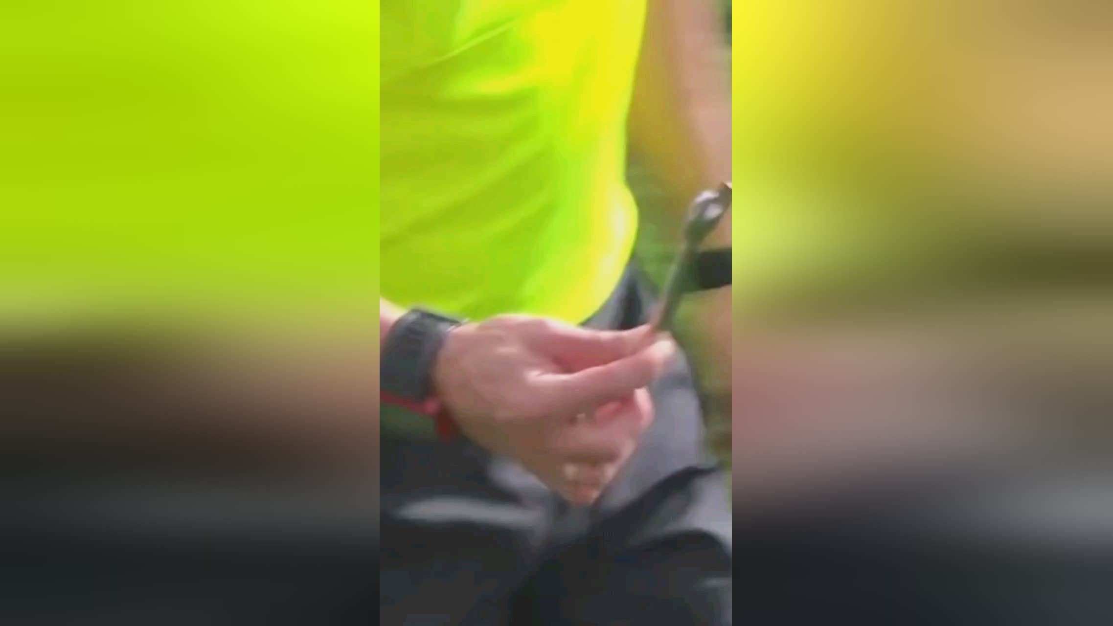 在这
